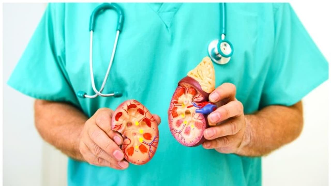 വൃക്കരോ​​ഗമുള്ളവർ ഈ ഭക്ഷണങ്ങൾ ഒഴിവാക്കുക, കാരണം 