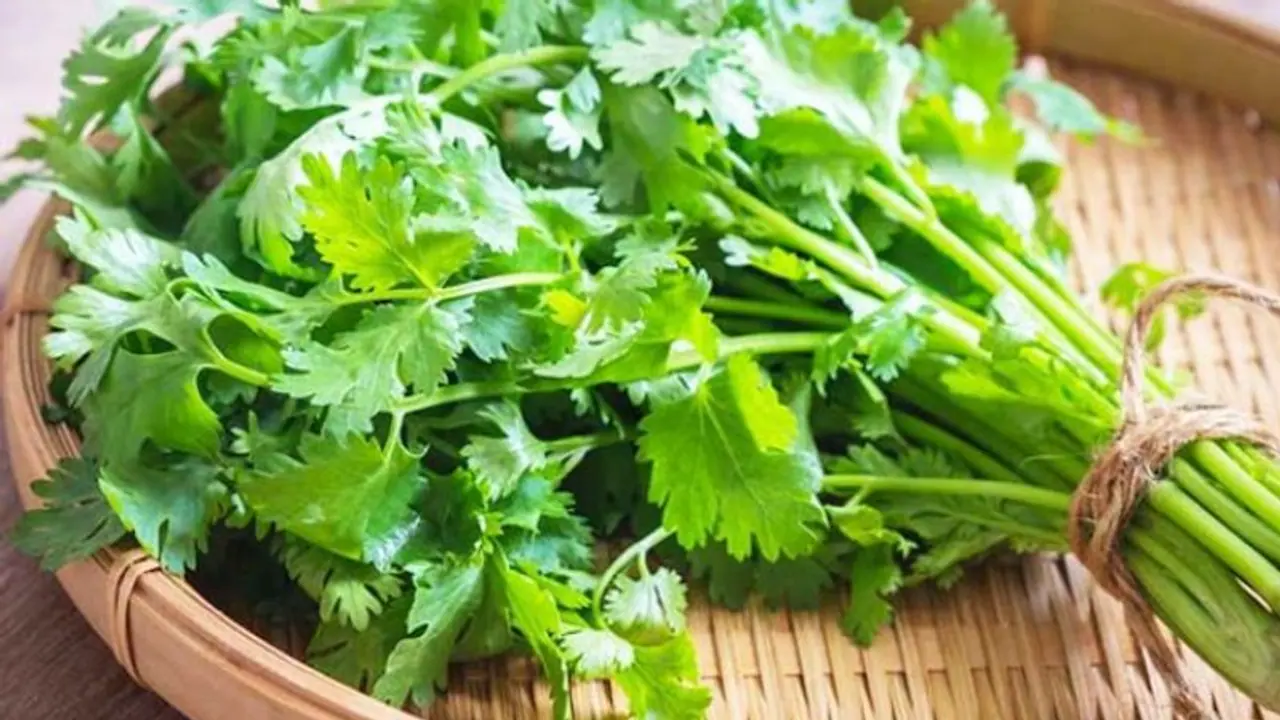 Blinkit offers 'FREE dhaniya' after user shares mother's suggestion; post goes viral