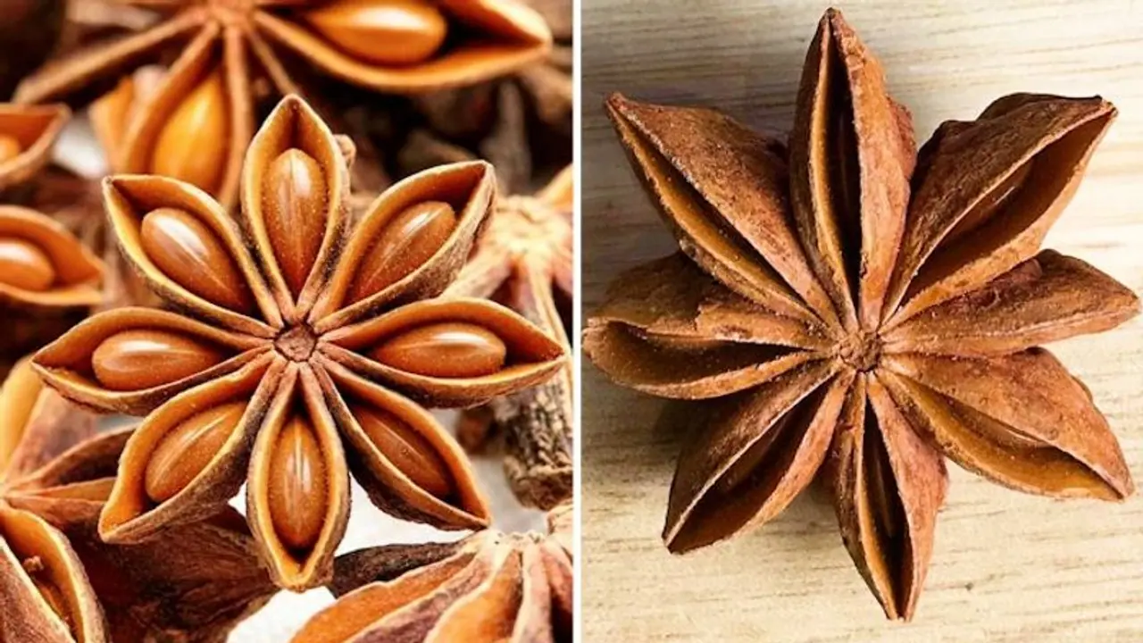 Promoting digestive health to regulating menstrual cycle: 7 benefits of Star anise