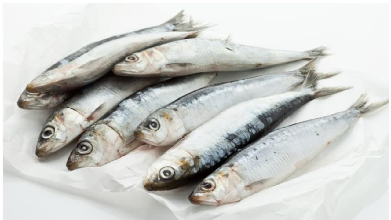 ആഴ്ചയിൽ രണ്ട് തവണയെങ്കിലും മീൻ കഴിക്കുക ; കാരണം ആഴ്ചയിൽ രണ്ട് തവണയെങ്കിലും മീൻ കഴിക്കുക ; കാരണം