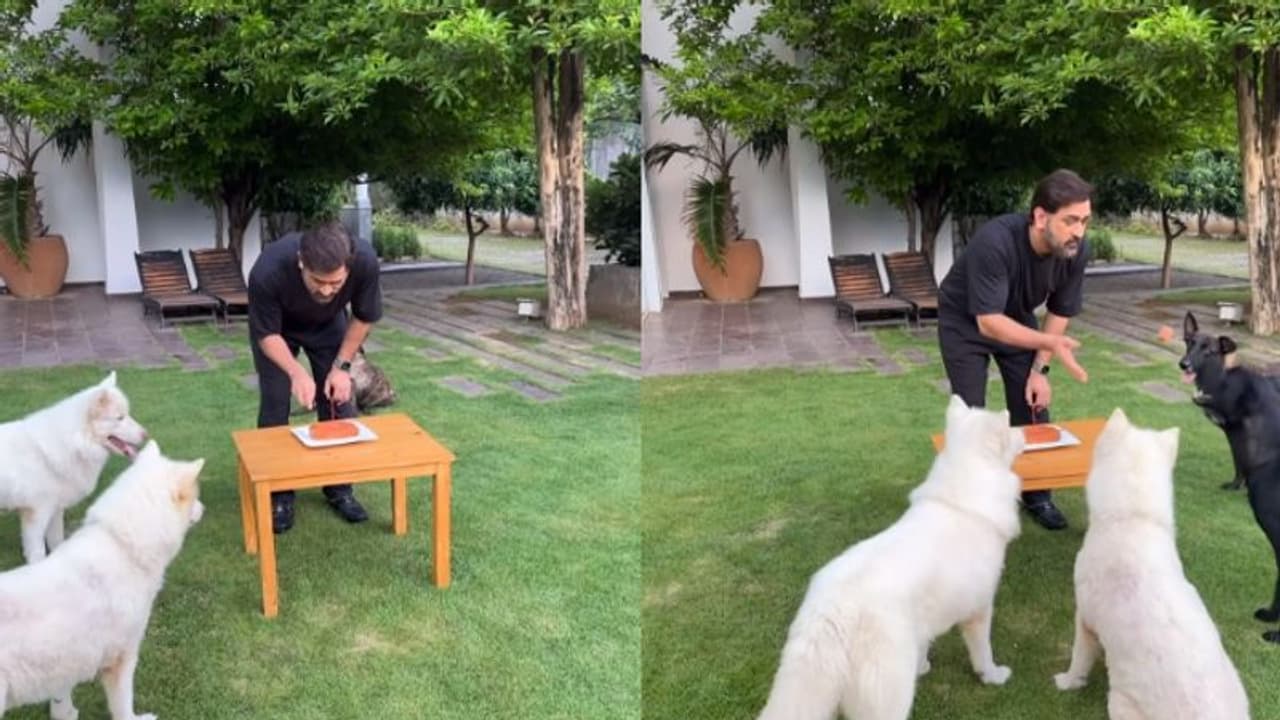 പിറന്നാളാഘോഷത്തിനും 'തല'യ്‍ക്കൊരു സ്റ്റൈലുണ്ട്; വേറിട്ട കേക്ക് മുറിക്കലുമായി ധോണി വീഡിയോ