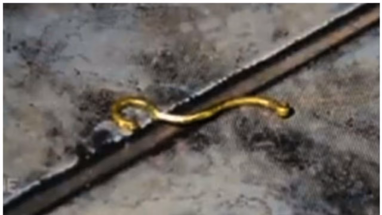 മകനെ അന്വേഷിച്ച് വീട്ടിലെത്തിയ അജ്ഞാതൻ, വീട്ടമ്മയുടെ കണ്ണിൽ മുളക് സ്പ്രേ അടിച്ച് 3 പവന്റെ സ്വർണമാല കവർന്നു മകനെ അന്വേഷിച്ച് വീട്ടിലെത്തിയ അജ്ഞാതൻ, വീട്ടമ്മയുടെ കണ്ണിൽ മുളക് സ്പ്രേ അടിച്ച് 3 പവന്റെ സ്വർണമാല കവർന്നു