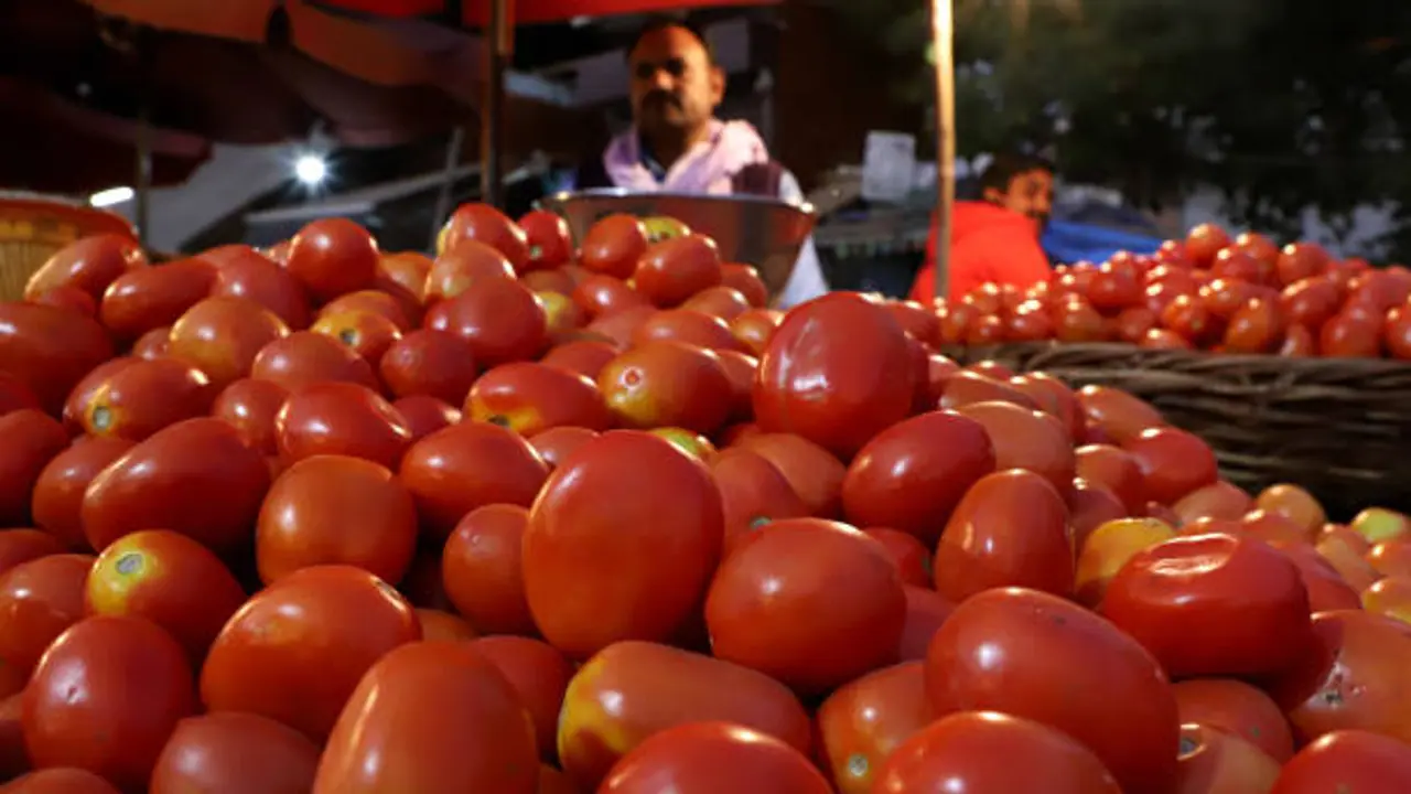 tomato