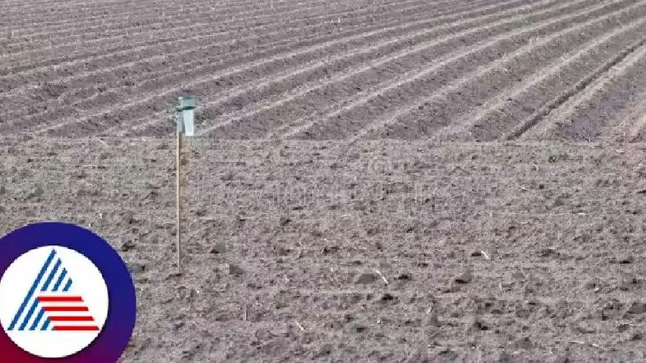 'ಮಳೆ ಬಾರದಿದ್ದರೆ ಬತ್ತ ಬೆಳೆಯುವುದು ಹೇಗೆ?' ಜೋಯಿಡಾ ರೈತರ ಆತಂಕ 'ಮಳೆ ಬಾರದಿದ್ದರೆ ಬತ್ತ ಬೆಳೆಯುವುದು ಹೇಗೆ?' ಜೋಯಿಡಾ ರೈತರ ಆತಂಕ