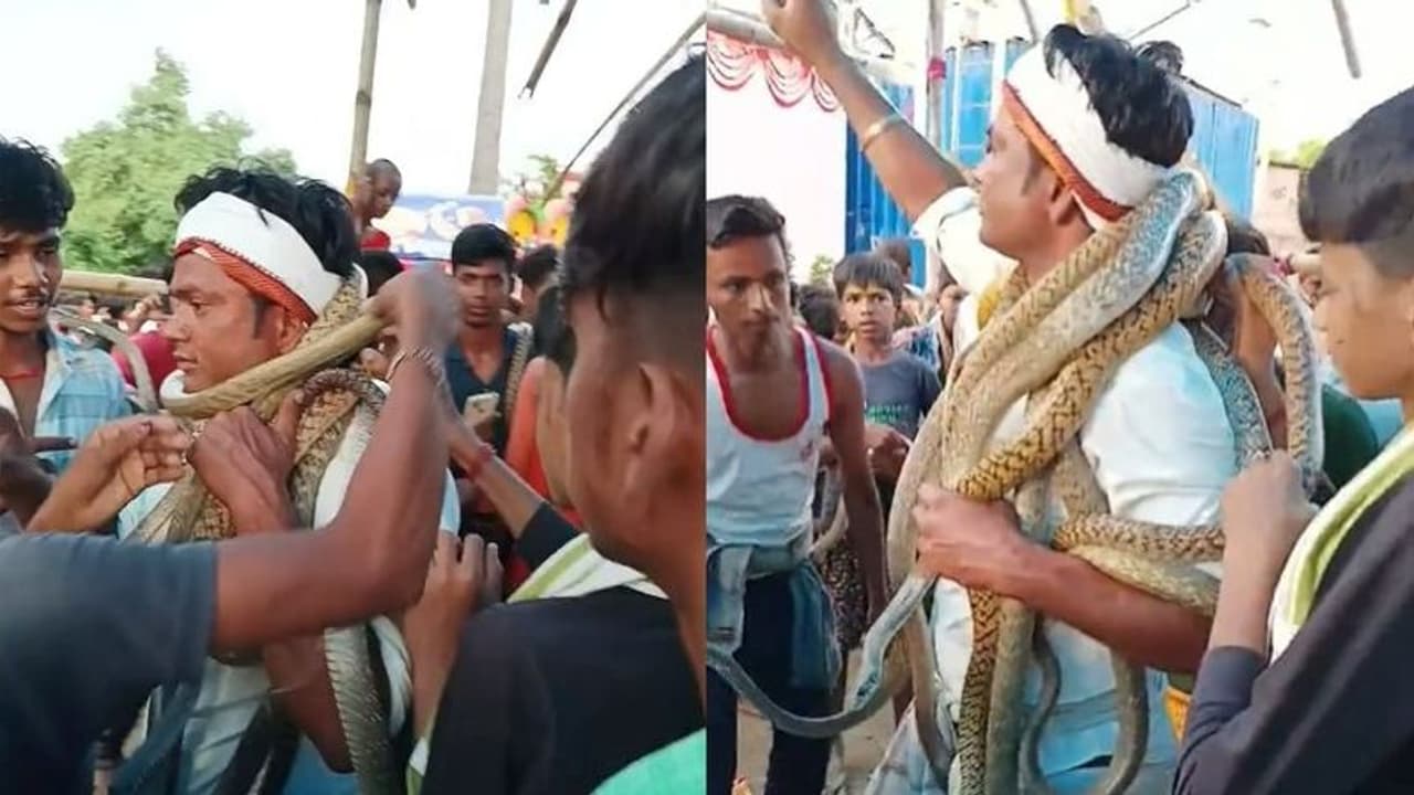 వామ్మో.. మెడలో పాములు వేసుకొని తిరిగిన వ్యక్తి.. అందరూ విషసర్పాలను వేస్తున్నా.. అభివాదం చేస్తూ.. వీడియో వైరల్