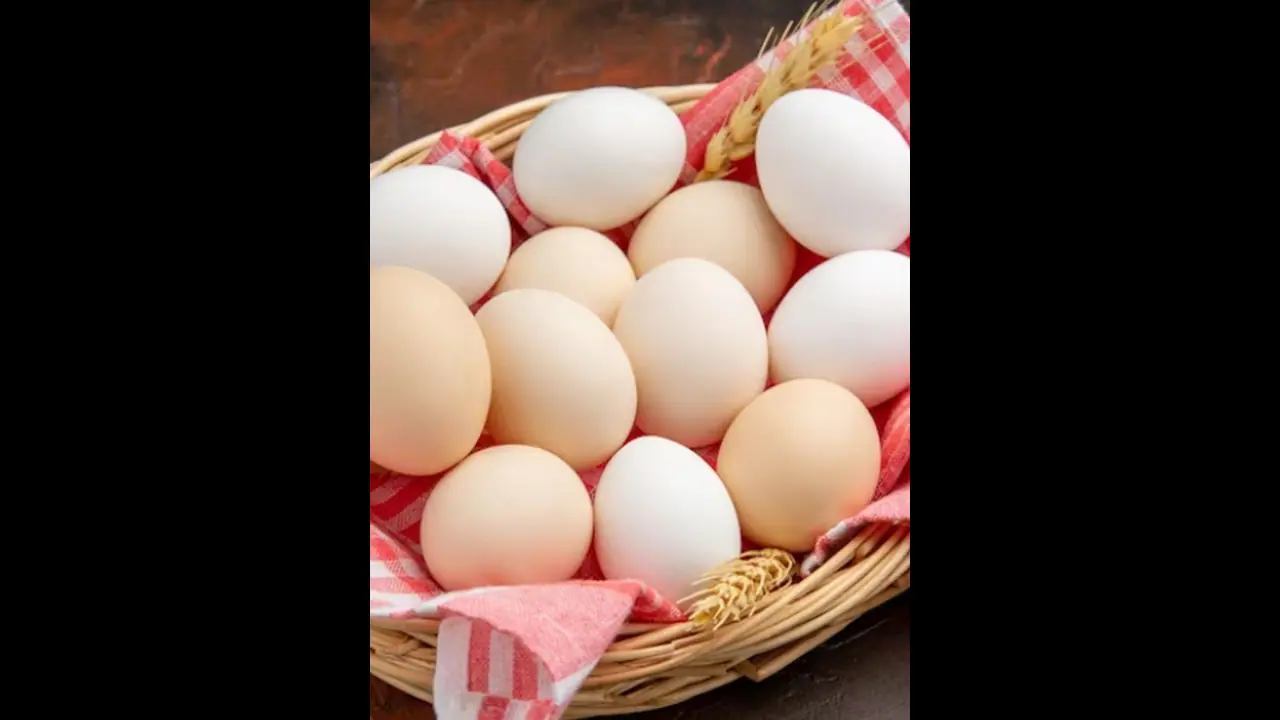 Health Tips : കുട്ടികൾക്ക് ദിവസവും ഒരു മുട്ട നൽകണമെന്ന് പറയുന്നതിന്റെ കാരണം ഇതൊക്കെയാണ് 