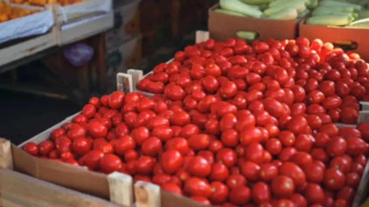 ಟೊಮೆಟೋ ಬಂಪರ್‌ ಬೆಳೆ: ದರ ಕುಸಿತ, ಗ್ರಾಹಕರಿಗೆ ಮಾತ್ರ ಖುಷಿ, ರೈತ ಕಂಗಾಲು