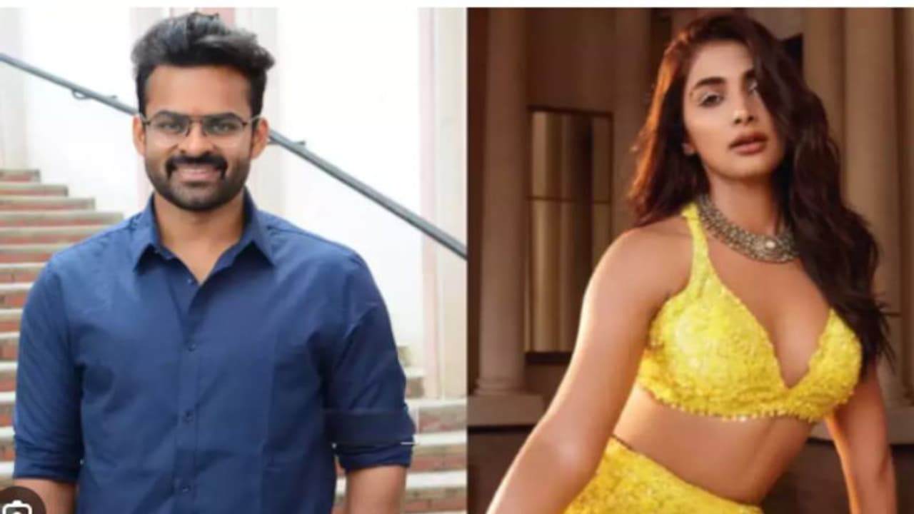 పూజా కొత్త సినిమాకి గ్రీన్‌ సిగ్నల్.. మామని వదిలేసి అల్లుడికి ఫిక్స్ ?