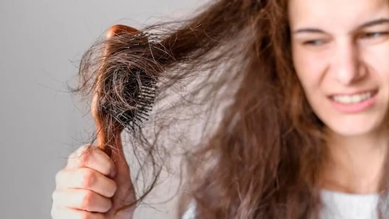 Hydration to Natural care: 5 ways to prevent hair loss in Monsoons Hydration to Natural care: 5 ways to prevent hair loss in Monsoons