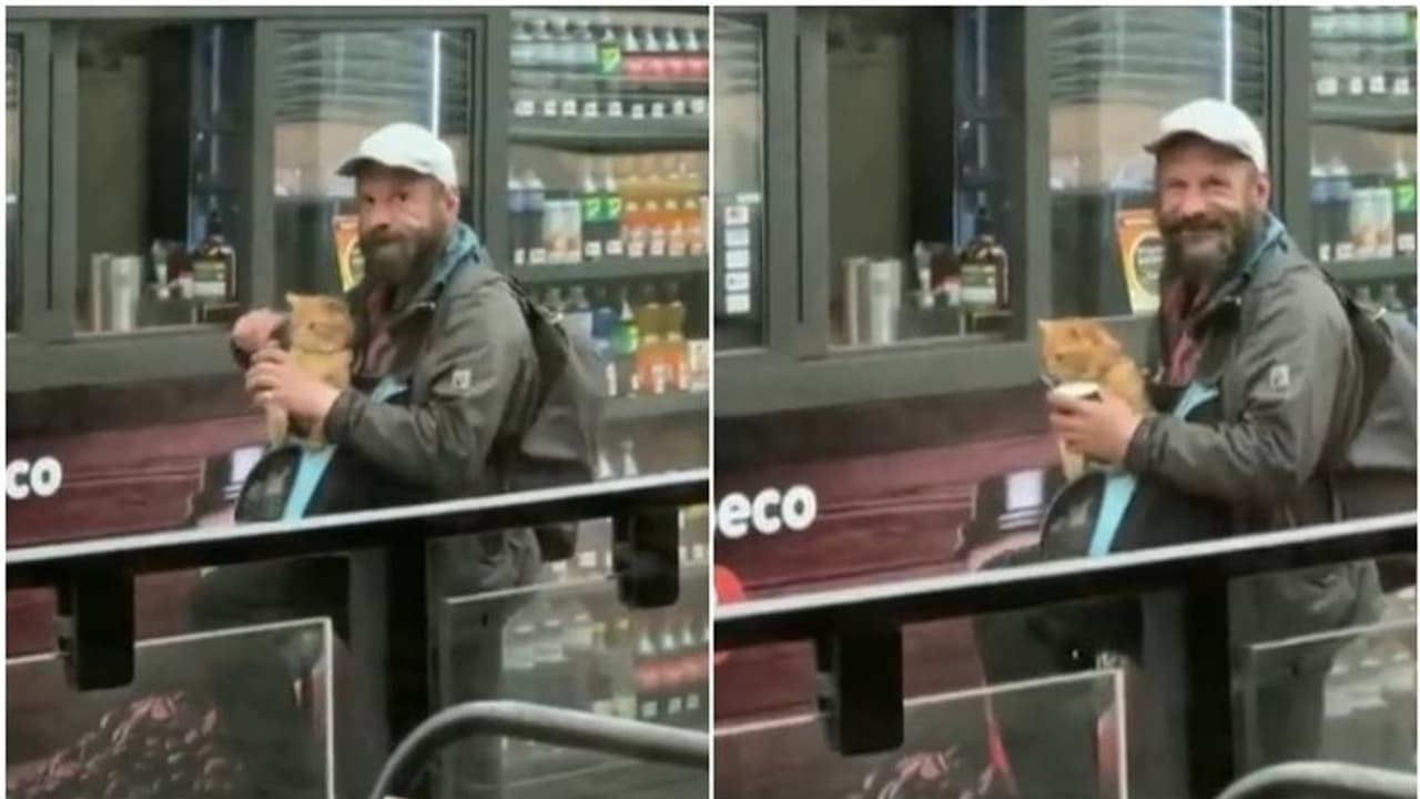 'ഇതൊക്കെയാണ് കാണേണ്ട കാഴ്ച'; തെരുവില് പൂച്ചയ്ക്ക് ഭക്ഷണം കൊടുക്കുന്നയാളുടെ വീഡിയോ... 'ഇതൊക്കെയാണ് കാണേണ്ട കാഴ്ച'; തെരുവില് പൂച്ചയ്ക്ക് ഭക്ഷണം കൊടുക്കുന്നയാളുടെ വീഡിയോ...