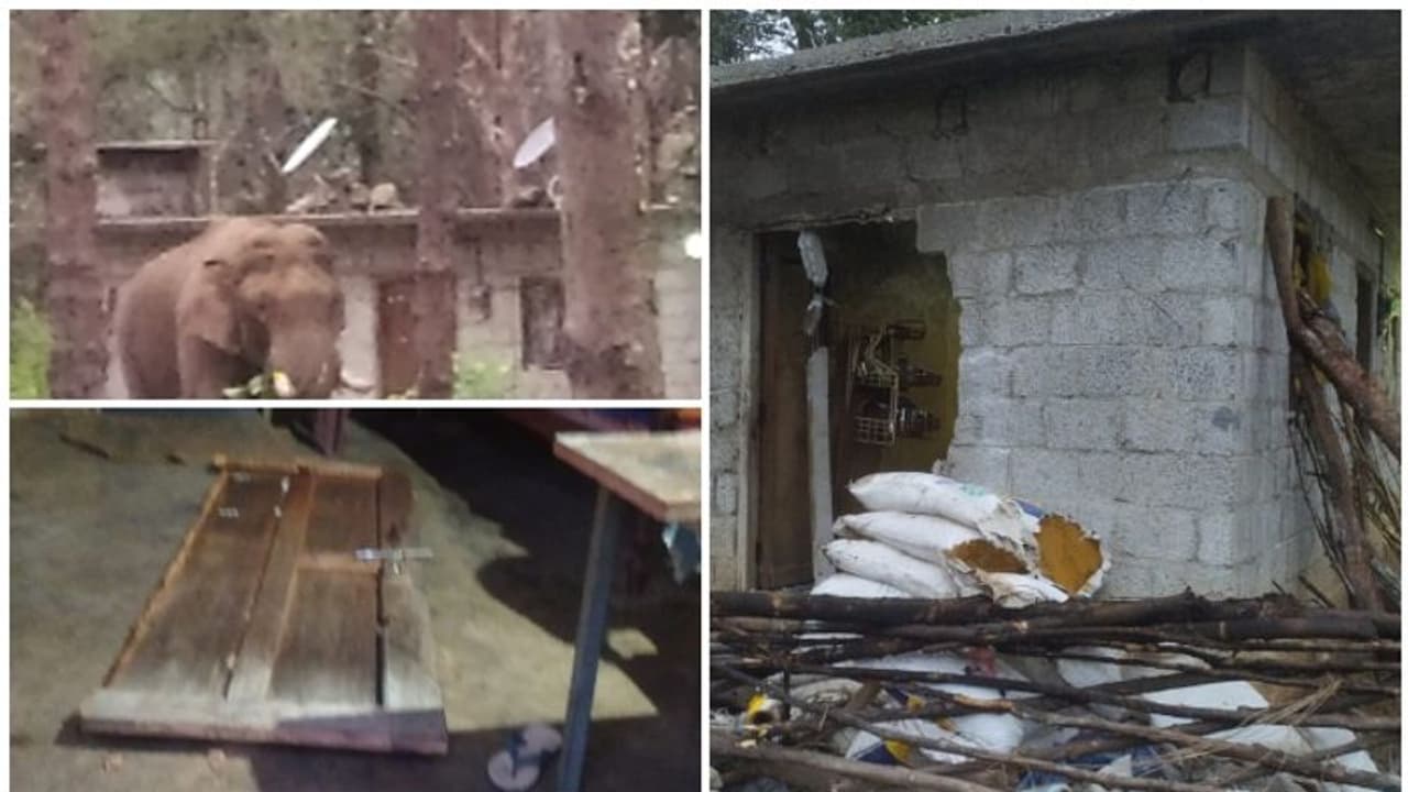 ചിന്നക്കനാലില് വീണ്ടും കാട്ടാനയാക്രമണം; വീട് തകര്ത്തു, ആക്രമിച്ചത് ചക്കക്കൊമ്പനെന്ന് നാട്ടുകാര് ചിന്നക്കനാലില് വീണ്ടും കാട്ടാനയാക്രമണം; വീട് തകര്ത്തു, ആക്രമിച്ചത് ചക്കക്കൊമ്പനെന്ന് നാട്ടുകാര്