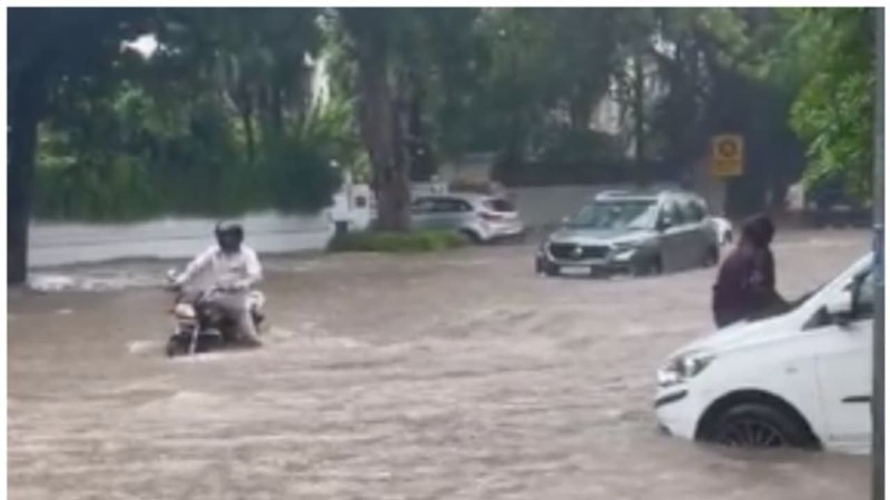 வட மாநிலங்களைப் புரட்டிப் போடும் வெள்ளப் பெருக்கு: தத்தளிக்கும் இமாச்சல், டெல்லி மக்கள்! வட மாநிலங்களைப் புரட்டிப் போடும் வெள்ளப் பெருக்கு: தத்தளிக்கும் இமாச்சல், டெல்லி மக்கள்!