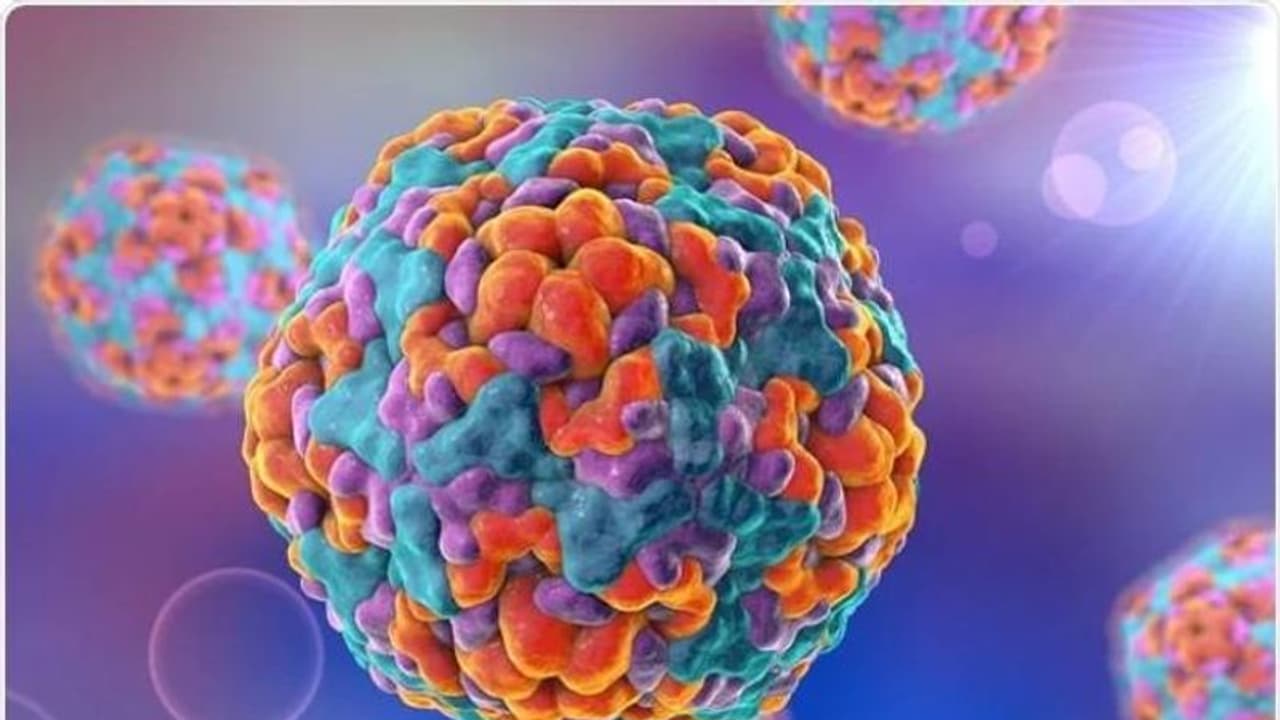 குழந்தைகளை பாதிக்கும் ஆபத்தான Enterovirus குறித்து WHO எச்சரிக்கை.. இந்தியா கவலைப்பட வேண்டுமா? குழந்தைகளை பாதிக்கும் ஆபத்தான Enterovirus குறித்து WHO எச்சரிக்கை.. இந்தியா கவலைப்பட வேண்டுமா?