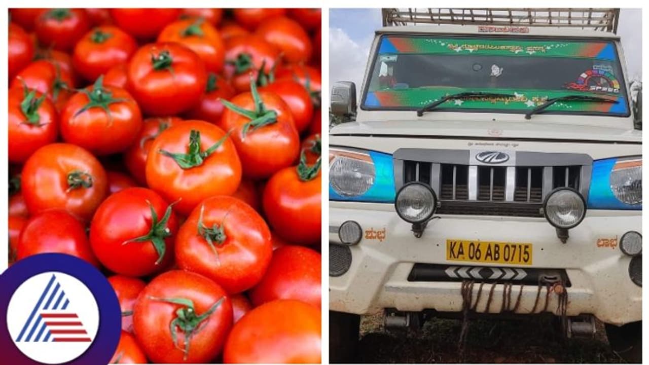 രണ്ടരടണ്‍ തക്കാളിയുമായി പോയ ബൊലേറോ 'അപ്രത്യക്ഷമാക്കി' കാറുകാരുടെ കുതന്ത്രം, കര്‍ഷകന് നഷ്‍ടം രണ്ടുലക്ഷം!