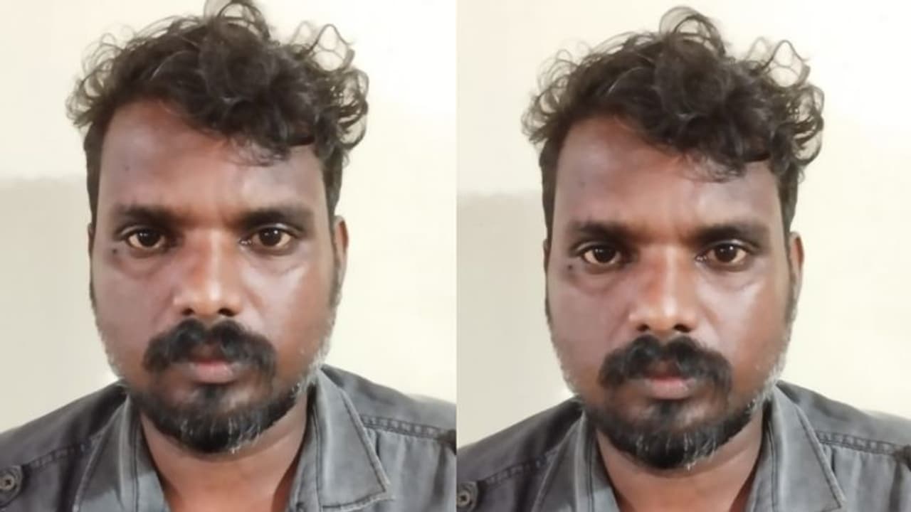 വന് വിലയുള്ള പോത്തുകളെ മോഷ്ടിച്ച് ഇറച്ചിക്കച്ചവടക്കാര്ക്ക് വിറ്റു, ഒരാൾ അറസ്റ്റിൽ വന് വിലയുള്ള പോത്തുകളെ മോഷ്ടിച്ച് ഇറച്ചിക്കച്ചവടക്കാര്ക്ക് വിറ്റു, ഒരാൾ അറസ്റ്റിൽ