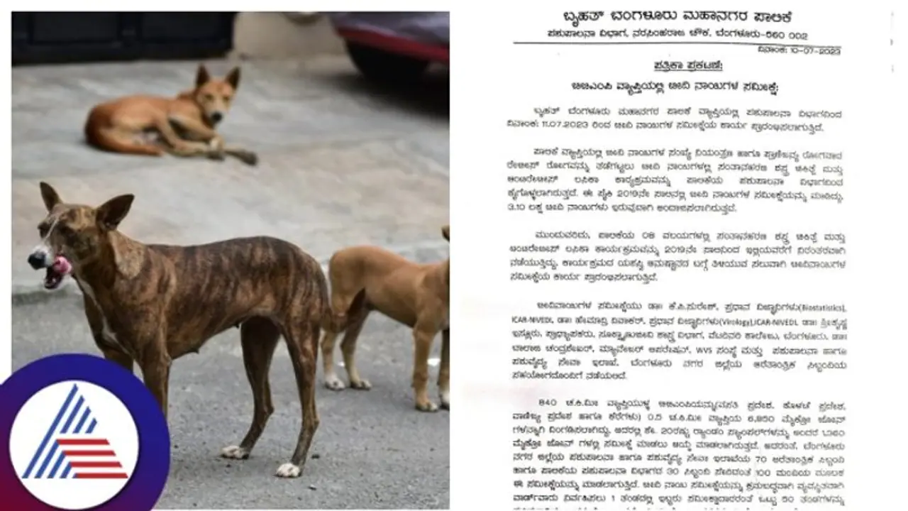 Bengaluru: ರೇಬೀಸ್ ರೋಗ ತಡೆಗಟ್ಟಲು ಬಿಬಿಎಂಪಿ ವ್ಯಾಪ್ತಿಯಲ್ಲಿ ಬೀದಿ ನಾಯಿಗಳ ಸಮೀಕ್ಷೆ 