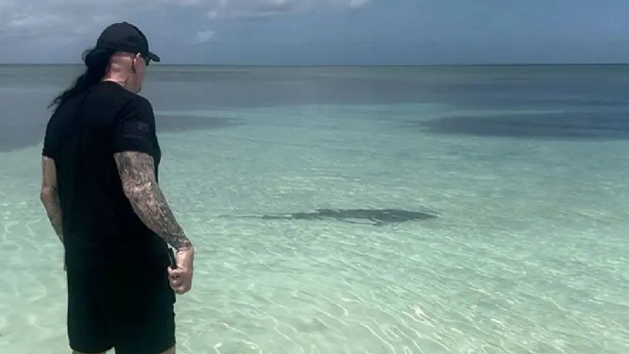 WATCH: WWE legend The Undertaker displays fearlessness, protects wife from shark encounter at beach WATCH: WWE legend The Undertaker displays fearlessness, protects wife from shark encounter at beach