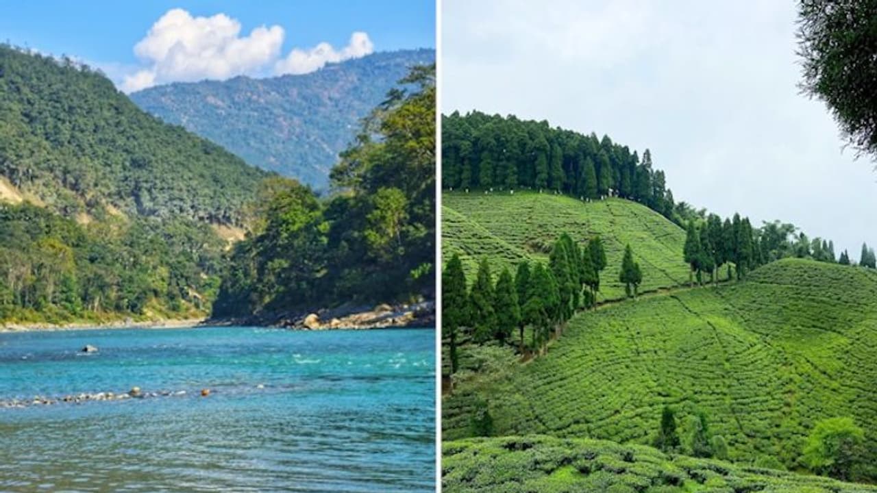 Darjeeling to Kalimpong: 8 serene hill stations in West Bengal Darjeeling to Kalimpong: 8 serene hill stations in West Bengal