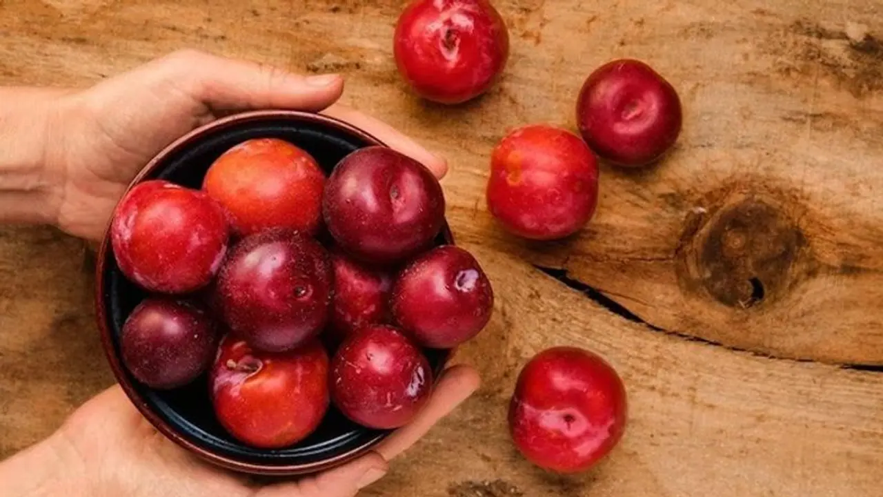 5 Health benefits of eating Plums in Rainy season 5 Health benefits of eating Plums in Rainy season