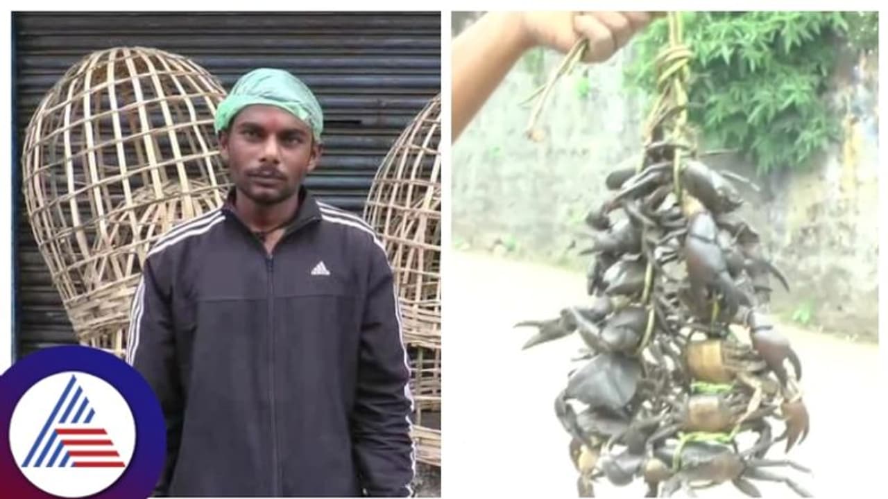 ಕೊಡಗಿನಲ್ಲಿ ಬಟ್ಟೆ ಒಣಗಿಸಲು ಬಳಂಜಿ, ಅಗ್ಗಿಷ್ಟಿಕೆಗೆ ಬೇಡಿಕೆ, ದೇಹದ ಉಷ್ಣತೆಗಾಗಿ ಭರ್ಜರಿ ಏಡಿ ಮಾರಾಟ!