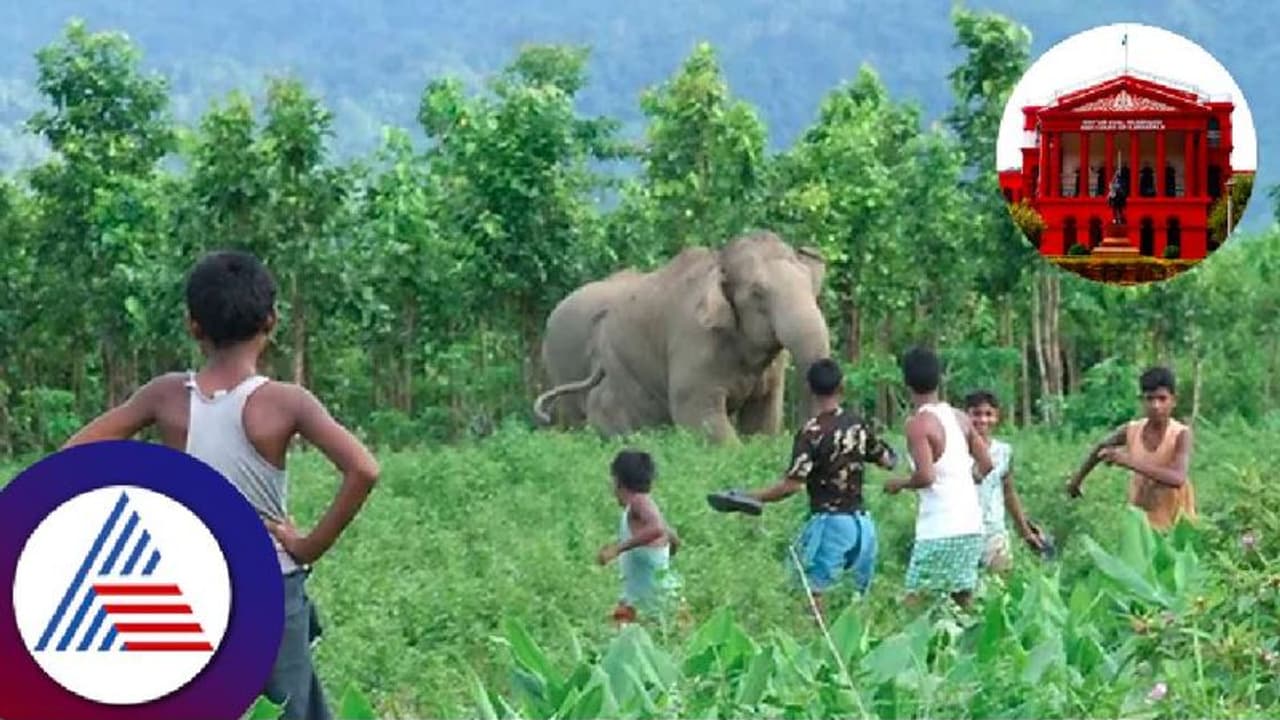 ಪ್ರಾಣಿ ದಾಳಿ: ಕಂಟ್ರೋಲ್‌ ರೂಂ ಸ್ಥಾಪನೆಗೆ ಹೈಕೋರ್ಟ್ ಆದೇಶ 