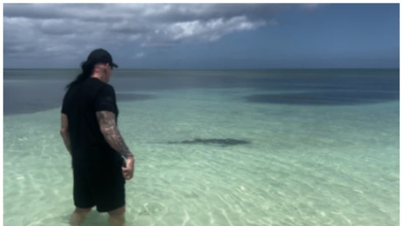 അണ്ടര്‍ടേക്കറും സ്രാവും തമ്മിലൊരു അങ്കം; വിജയിയെ അറിയാമോ ? 