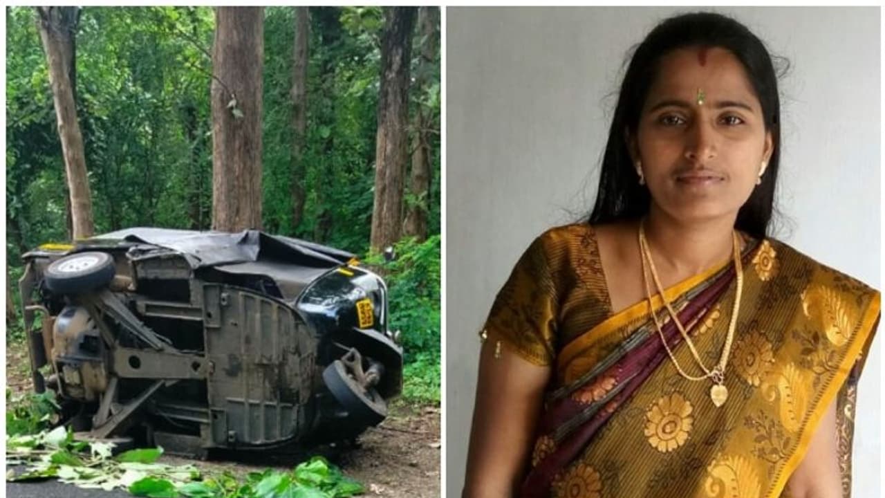 സ്കൂൾ കുട്ടികളുമായി വന്ന ഓട്ടോയിൽ പന്നി ഇടിച്ചു; വനിത ഓട്ടോ ഡ്രൈവർ മരിച്ചു സ്കൂൾ കുട്ടികളുമായി വന്ന ഓട്ടോയിൽ പന്നി ഇടിച്ചു; വനിത ഓട്ടോ ഡ്രൈവർ മരിച്ചു