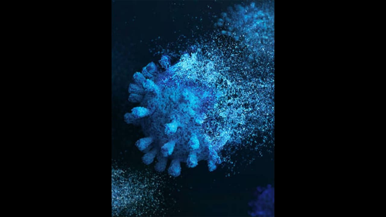 அது என்ன Eris? வேகமாக பரவும் புதிய வகை கொரோனா ஆபத்தானதா? நிபுணர்கள் விளக்கம் அது என்ன Eris? வேகமாக பரவும் புதிய வகை கொரோனா ஆபத்தானதா? நிபுணர்கள் விளக்கம்