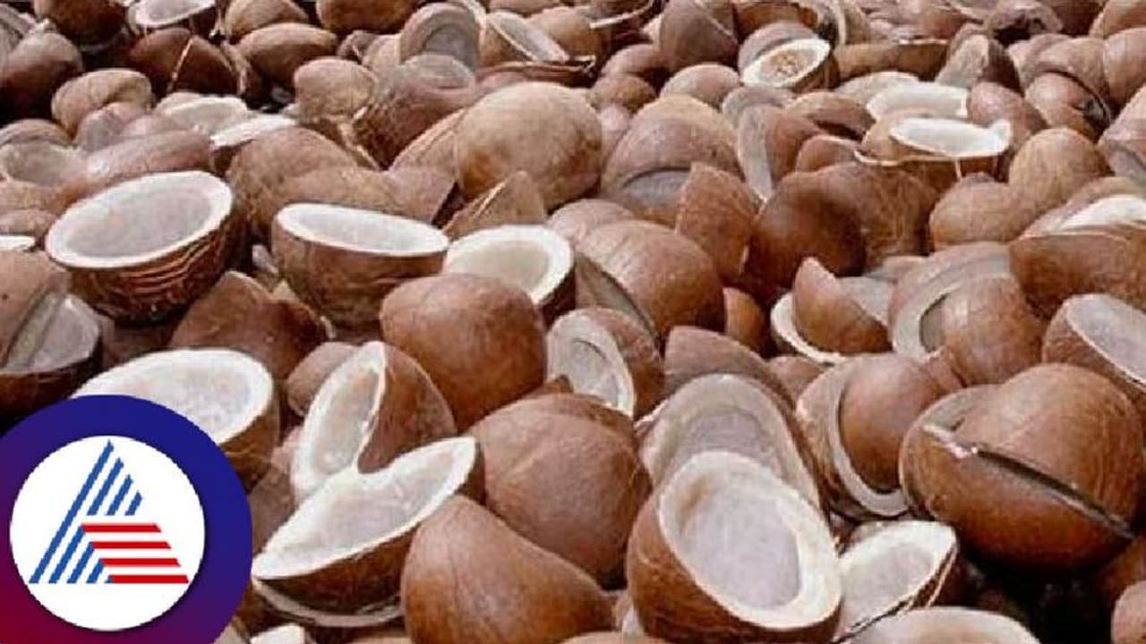 ಉಂಡೆ ಕೊಬ್ಬರಿಗೆ 1,250 ರು. ಪ್ರೋತ್ಸಾಹ ಧನ: ಸಚಿವ ಶಿವಾನಂದ ಪಾಟೀಲ್ ಉಂಡೆ ಕೊಬ್ಬರಿಗೆ 1,250 ರು. ಪ್ರೋತ್ಸಾಹ ಧನ: ಸಚಿವ ಶಿವಾನಂದ ಪಾಟೀಲ್