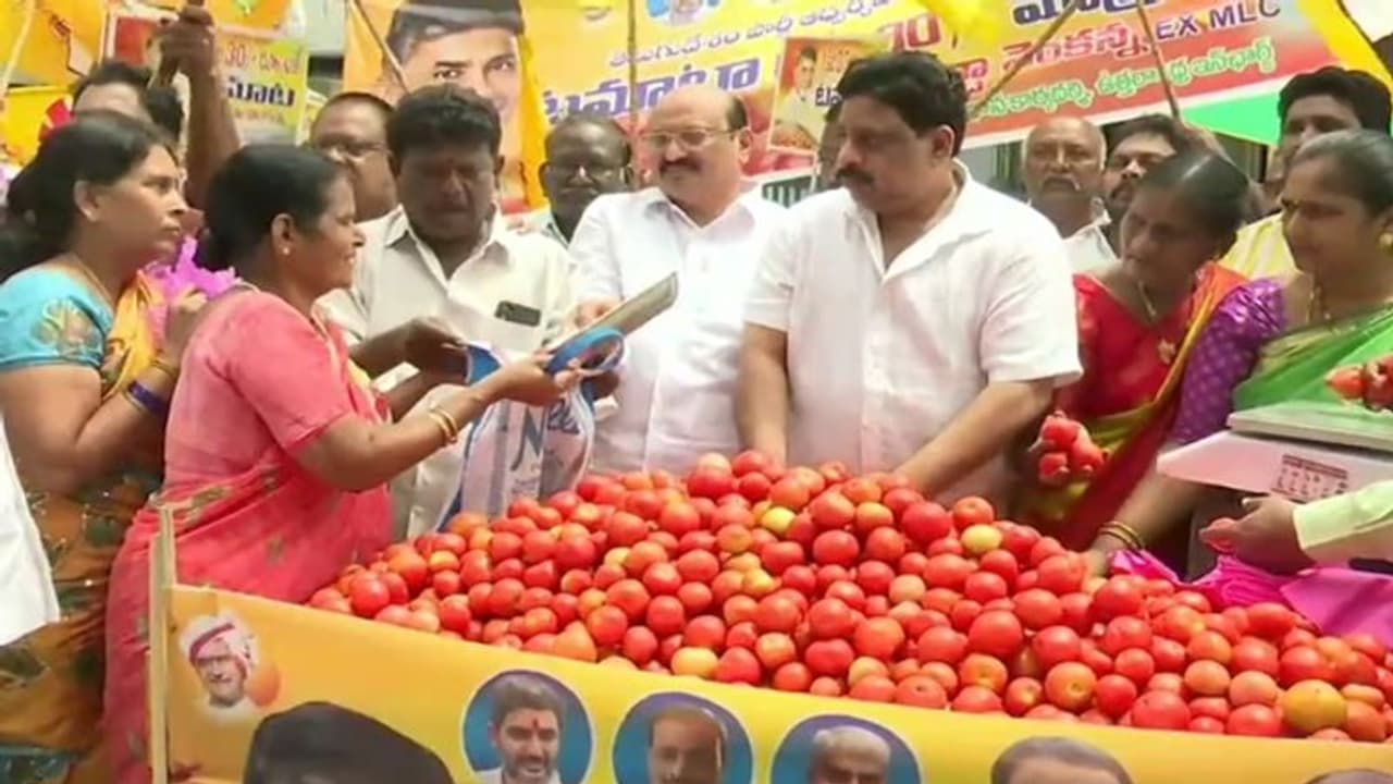 குறைந்த விலையில் தக்காளி: ஆந்திராவில் போட்டி போட்டு கொண்டு விற்கும் அரசியல் கட்சிகள்!