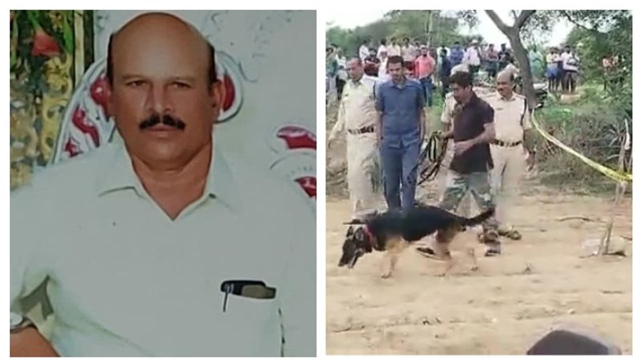 ജീവനെടുത്ത് 'തക്കാളി'; തക്കാളി കര്‍ഷകനെ കവര്‍ച്ച സംഘം കൊലപ്പെടുത്തി