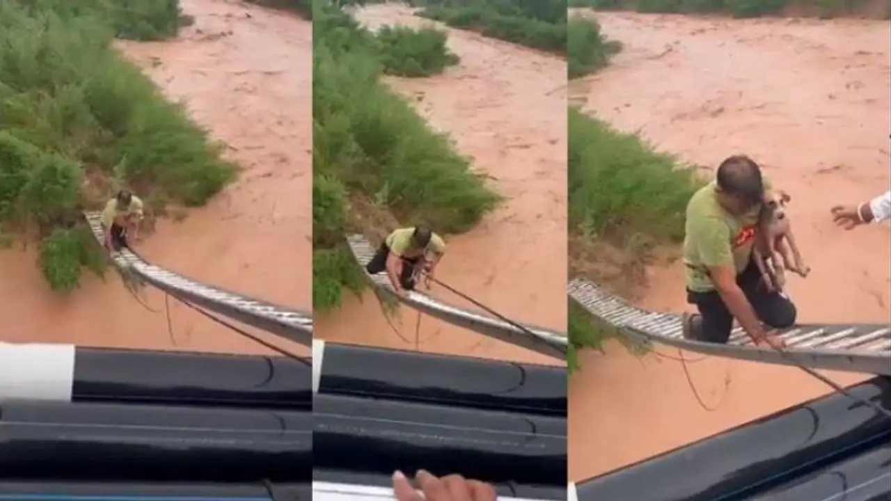 ಪ್ರವಾಹದಲ್ಲಿ ಕೊಚ್ಚಿ ಹೋಗುತ್ತಿದ್ದ ನಾಯಿಮರಿಯ ರಕ್ಷಿಸಿದ ಯುವಕ: ವೀಡಿಯೋ ವೈರಲ್ ಪ್ರವಾಹದಲ್ಲಿ ಕೊಚ್ಚಿ ಹೋಗುತ್ತಿದ್ದ ನಾಯಿಮರಿಯ ರಕ್ಷಿಸಿದ ಯುವಕ: ವೀಡಿಯೋ ವೈರಲ್