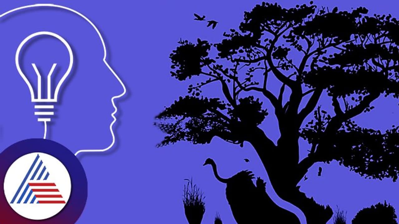 Picture and Personality: ಚಿತ್ರ ನೋಡಿದಾಗ ಮೊದಲೇನು ಕಂಡಿತು? ಅದು ನಿಮ್ಮ ವ್ಯಕ್ತಿತ್ವ ಹೇಳುತ್ತೆ!