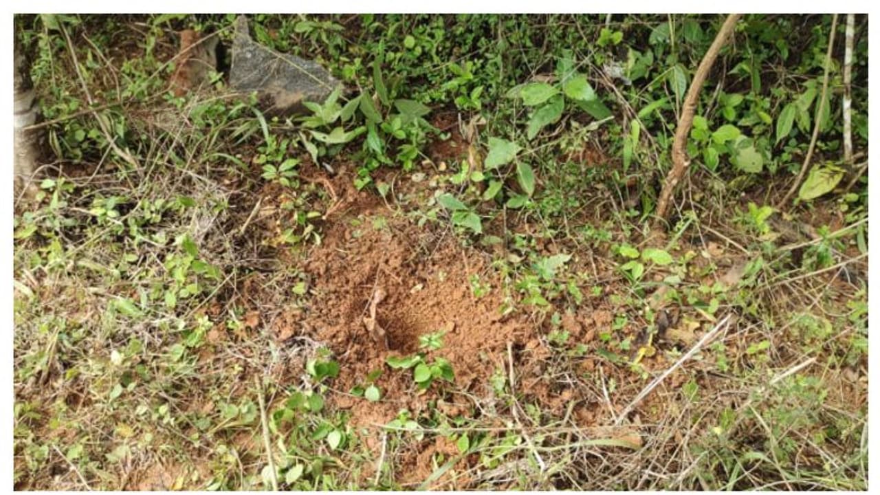 ഭൂമിയ്ക്കടിയിൽ വെള്ളം തിളയ്ക്കുന്ന ശബ്ദവും മുഴക്കവും; ആശങ്കയിൽ നാട്ടുകാർ 