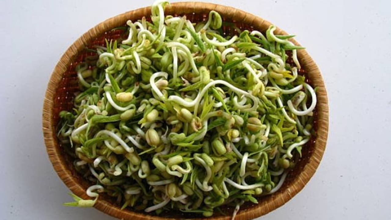 മുളപ്പിച്ച പയര് വെറുതെ കഴിക്കാൻ ഇഷ്ടമല്ലേ? എങ്കില് ഈ ടിപ്സ് പരീക്ഷിച്ചുനോക്കൂ... മുളപ്പിച്ച പയര് വെറുതെ കഴിക്കാൻ ഇഷ്ടമല്ലേ? എങ്കില് ഈ ടിപ്സ് പരീക്ഷിച്ചുനോക്കൂ...