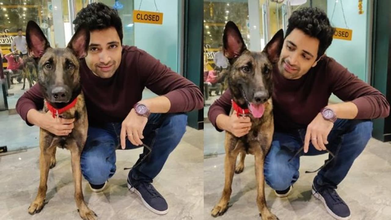 ‘హిట్ 2’లో కీ రోల్ ప్లే చేసిన మాక్స్ కన్నుమూత.. అడివి శేషు ఎమోషనల్ పోస్ట్.. ఎలా చనిపోయిందంటే? ‘హిట్ 2’లో కీ రోల్ ప్లే చేసిన మాక్స్ కన్నుమూత.. అడివి శేషు ఎమోషనల్ పోస్ట్.. ఎలా చనిపోయిందంటే?