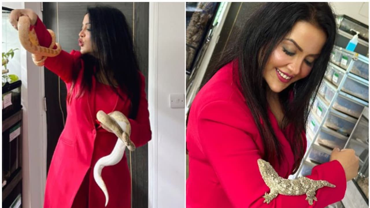 കൈകളിൽ ചുറ്റിപ്പിണഞ്ഞ് വിഷപ്പാമ്പുകൾ, പല്ലി; ഞെട്ടിക്കുന്ന ഫോട്ടോയുമായി ബിജെപി നേതാവിന്റെ ഭാര്യ