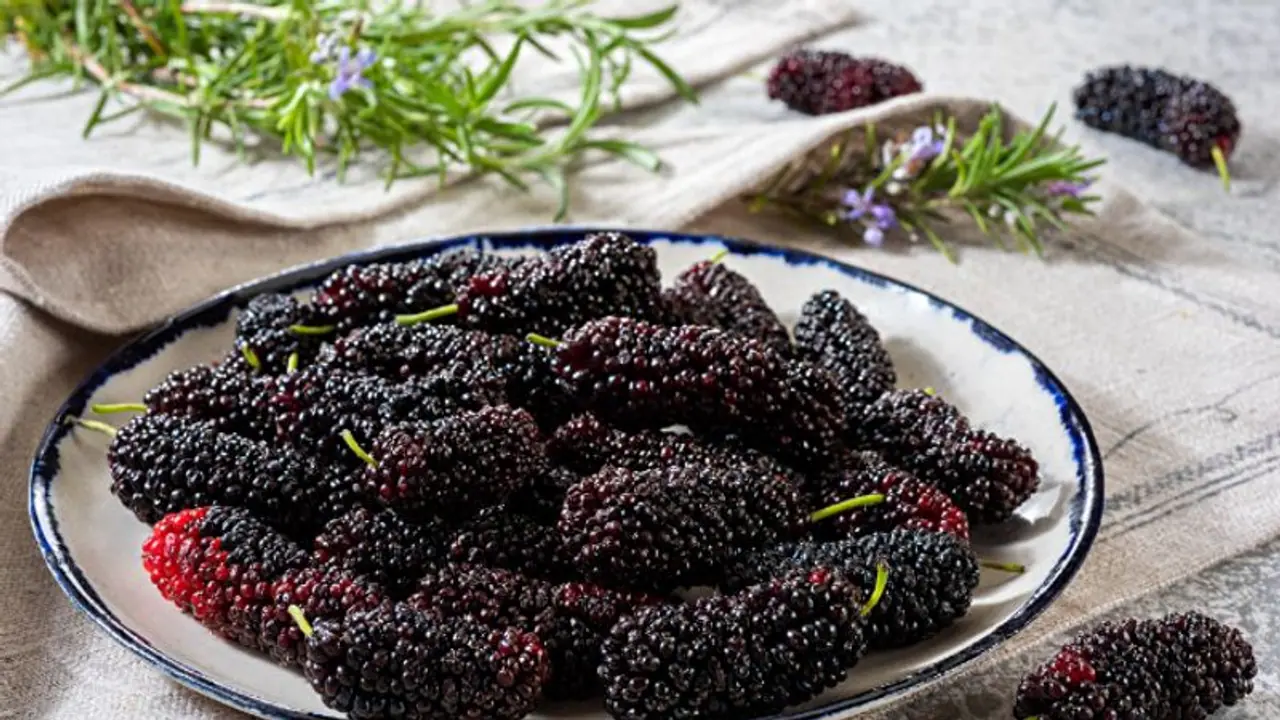 പതിവായി മള്ബെറി കഴിക്കൂ, ഈ രോഗങ്ങളെ അകറ്റി നിർത്താം... പതിവായി മള്ബെറി കഴിക്കൂ, ഈ രോഗങ്ങളെ അകറ്റി നിർത്താം...