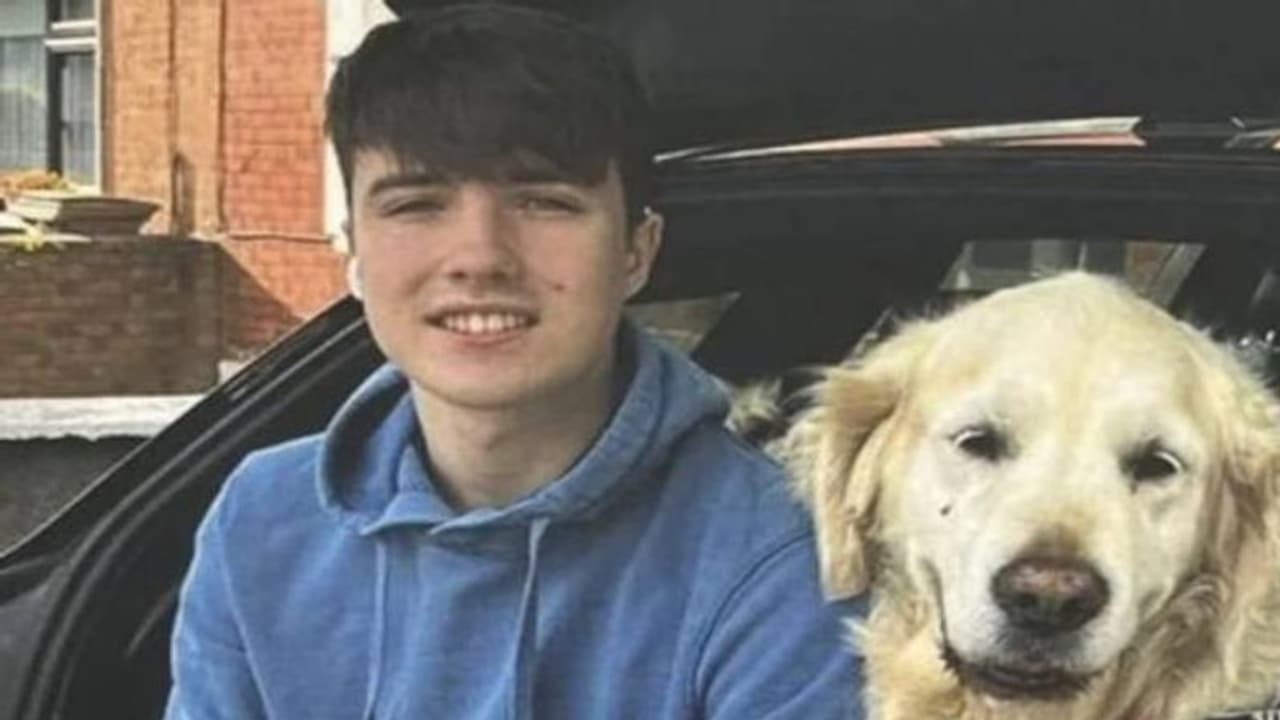 18 വയസ്സുകാരനായ ഉടമയുടെ മൃതദേഹത്തിനരികെ കണ്ണീരോടെ വളർത്തു നായ്ക്കൾ