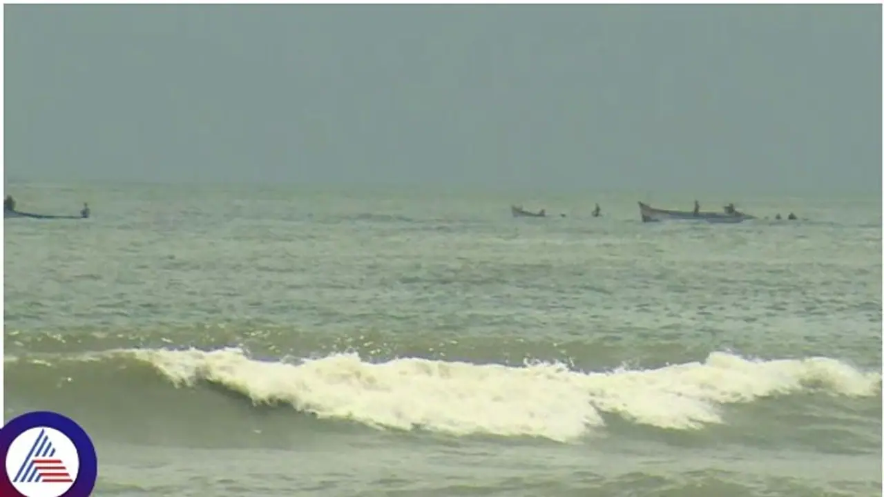 Local Boat Fishing Local Boat Fishing