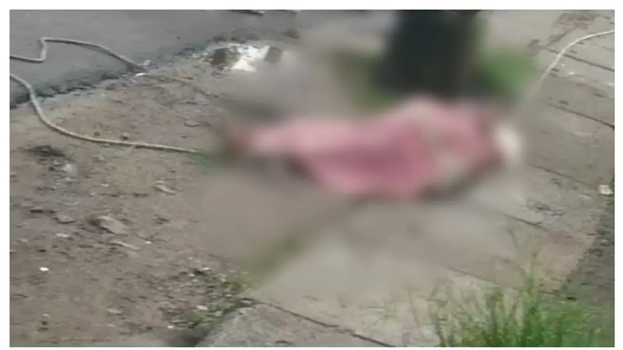 விழுப்புரத்தில் கோர விபத்து; மீன் வாங்கச்சென்ற 4 பெண்கள் கார் மோதி பலி முதல்வர் இரங்கல் விழுப்புரத்தில் கோர விபத்து; மீன் வாங்கச்சென்ற 4 பெண்கள் கார் மோதி பலி முதல்வர் இரங்கல்