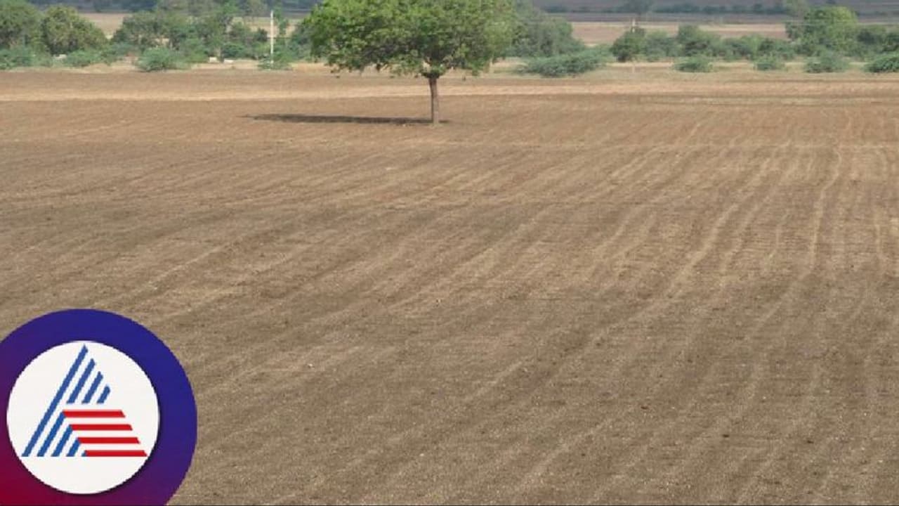 ವಿಜಯಪುರ: ಮುಂಗಾರು ವಿಫಲ, ಜನರಲ್ಲಿ ಬರದ ಭೀತಿ!