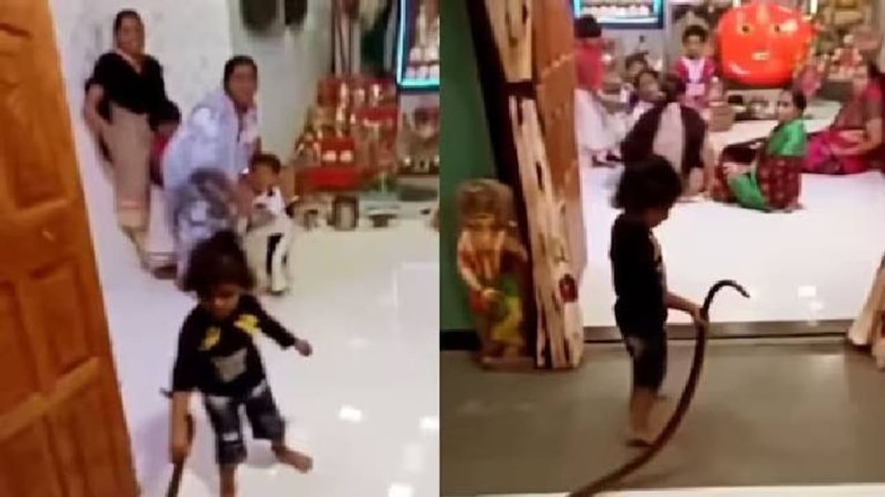 പാമ്പിനോടൊപ്പം കളിച്ച് കുട്ടി, മാതാപിതാക്കൾക്ക് സോഷ്യൽ മീഡിയയിൽ രൂക്ഷ വിമർശനം പാമ്പിനോടൊപ്പം കളിച്ച് കുട്ടി, മാതാപിതാക്കൾക്ക് സോഷ്യൽ മീഡിയയിൽ രൂക്ഷ വിമർശനം