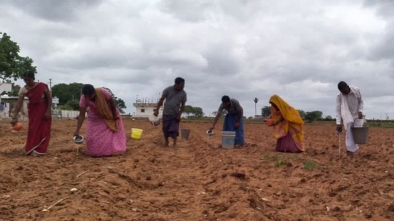 ಬಾರದ ಮಳೆ: ಯಾದಗಿರಿಯಲ್ಲಿ ಅಳಿದುಳಿದ ಬೆಳೆ ಸಂರಕ್ಷಣೆಗೆ ರೈತರ ಹರಸಾಹಸ..!