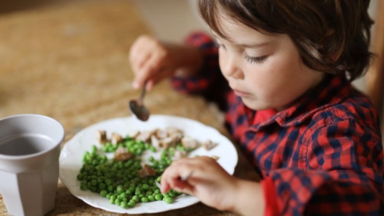 കുട്ടികളുടെ തലച്ചോറിന്റെ വളര്ച്ചയ്ക്കായി നല്കാവുന്ന എട്ട് ഭക്ഷണങ്ങള്... കുട്ടികളുടെ തലച്ചോറിന്റെ വളര്ച്ചയ്ക്കായി നല്കാവുന്ന എട്ട് ഭക്ഷണങ്ങള്...