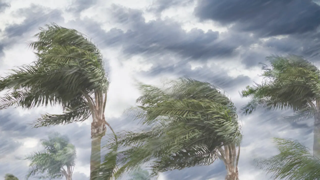 cyclone rain weather