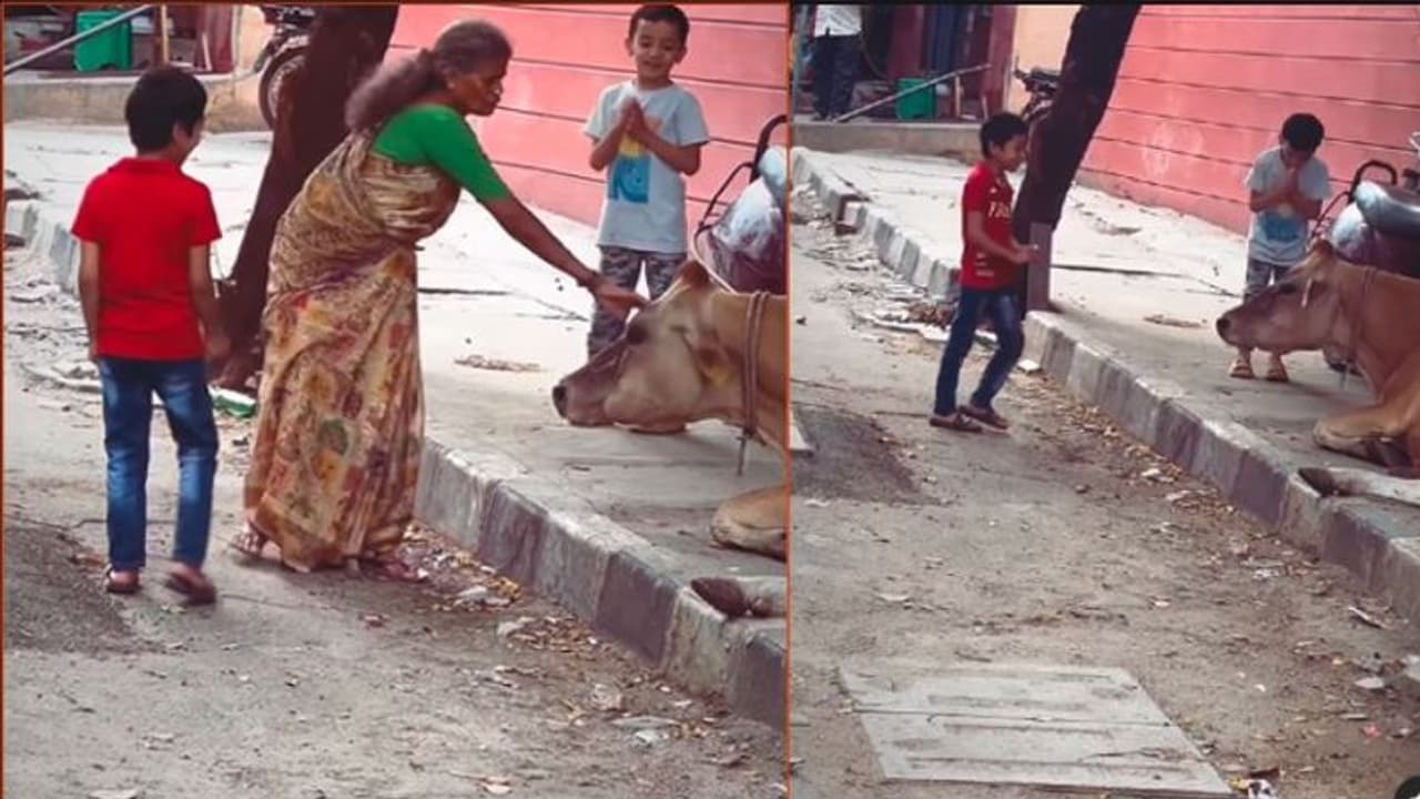 ಹಸುವಿಗೆ ಕೈ ಮುಗಿದ ಮಹಿಳೆ : ಅದ ನೋಡಿ ಮಕ್ಕಳೇನು ಮಾಡಿದ್ರು : ವೈರಲ್ ಆಯ್ತು ವೀಡಿಯೋ