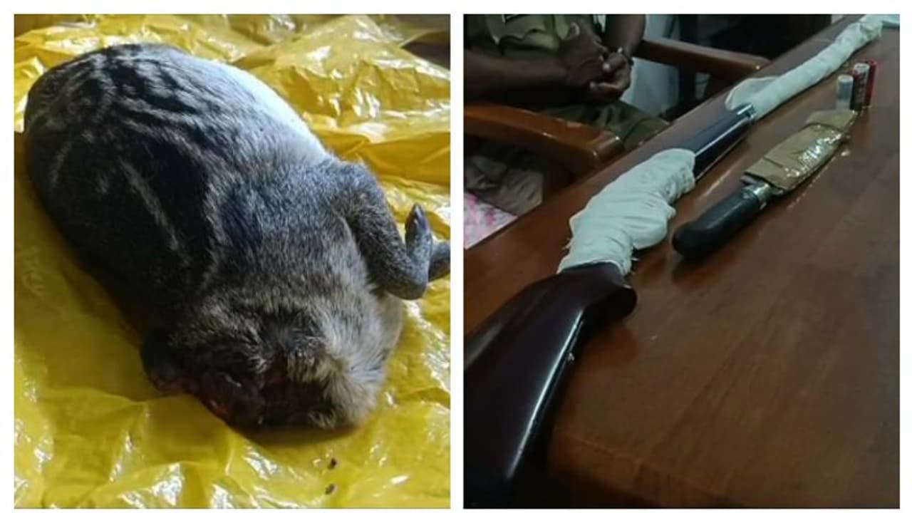 വേട്ടയാടി പിടിച്ച കൂരമാനുമായി മൂന്നു പേർ പിടിയിൽ