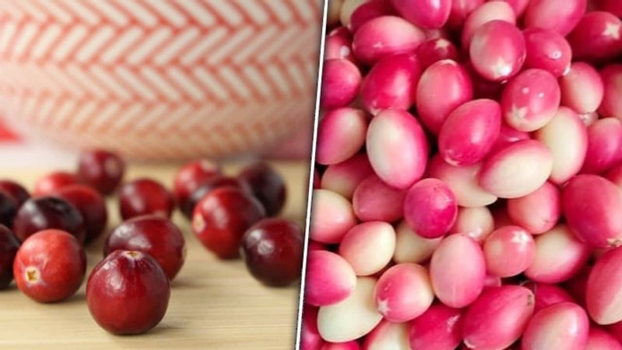 Unraveling the Cranberry UTI connection: Separating fact from fiction Unraveling the Cranberry UTI connection: Separating fact from fiction