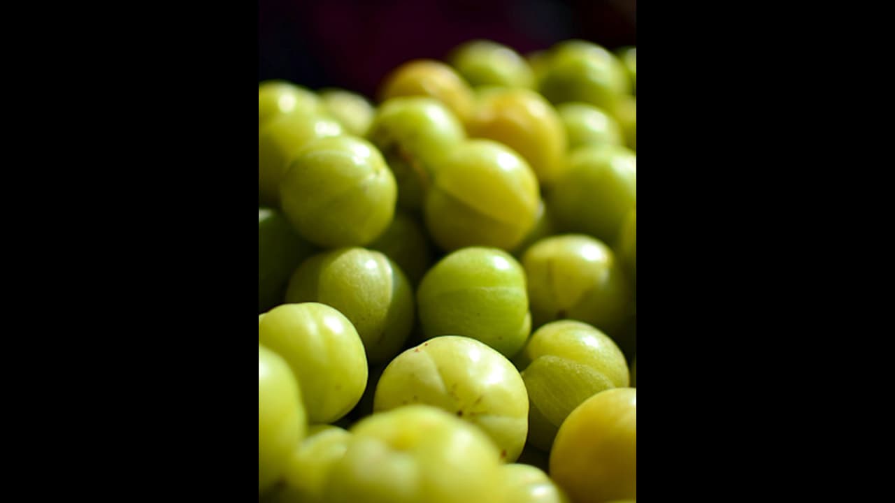 Health Tips : ദിവസവും ഒരു നെല്ലിക്ക കഴിക്കുന്നത് പതിവാക്കൂ, ഗുണങ്ങൾ പലതാണ് Health Tips : ദിവസവും ഒരു നെല്ലിക്ക കഴിക്കുന്നത് പതിവാക്കൂ, ഗുണങ്ങൾ പലതാണ്